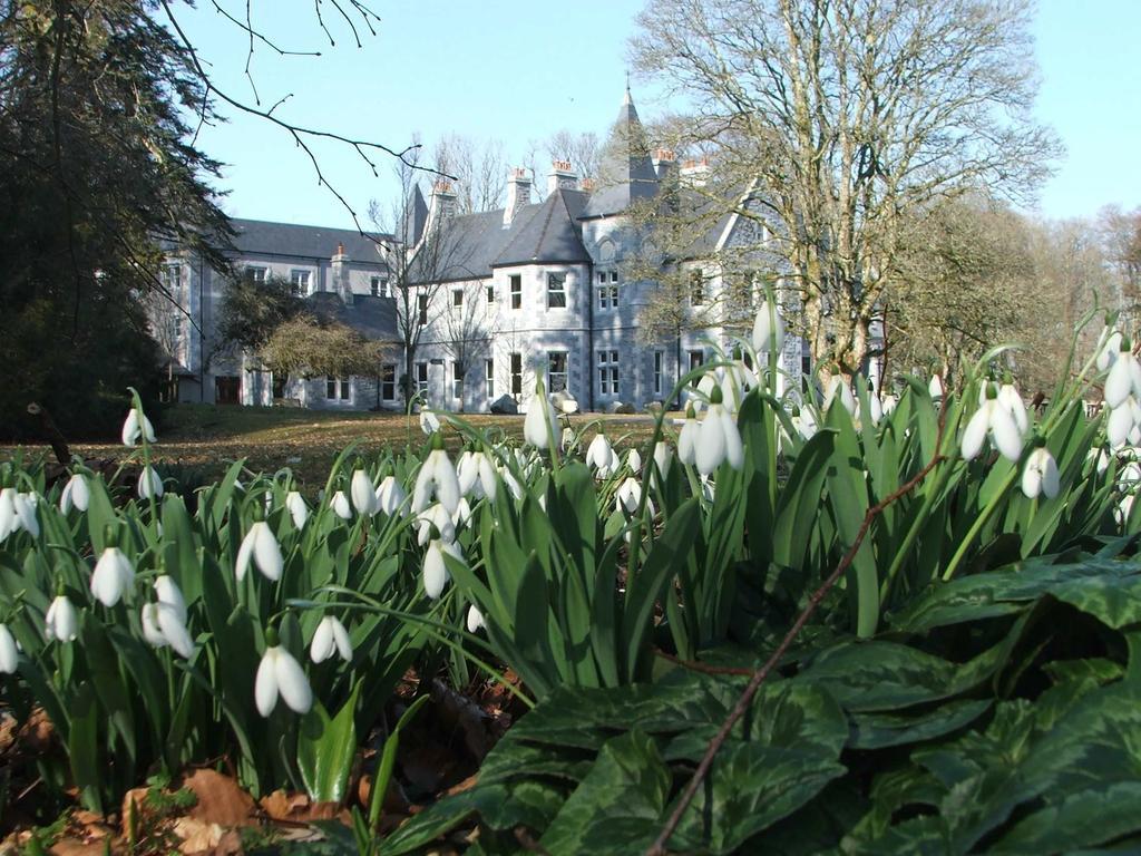 Mount Falcon Estate Ballina  Exterior foto
